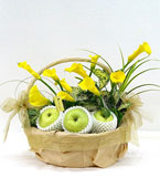 Best Wishes