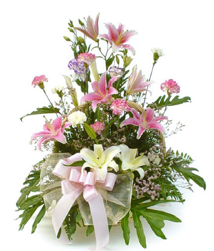 Lily Flowers