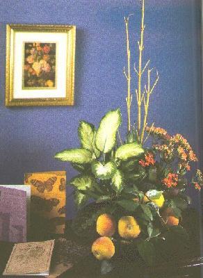 Grren Plant and blooming basket