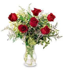 1/2 Dz Rose