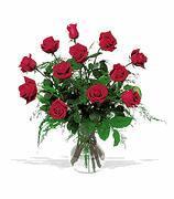 One Dozen  Red  Roses