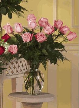 Dozen Pink  Rose Arrangement