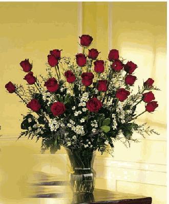 Two Dozen Roses