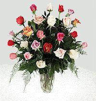 Two Dozen Assorted Rose Color