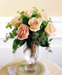 Six Peach  Roses